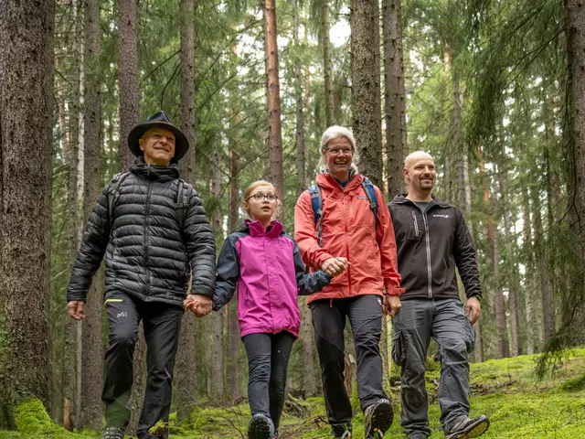 Familie wandert im Wald